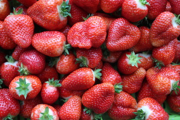  Beautiful cultivated deep red delicious strawberries, macro photography, fruit