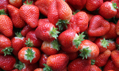  Beautiful cultivated deep red delicious strawberries, macro photography, fruit