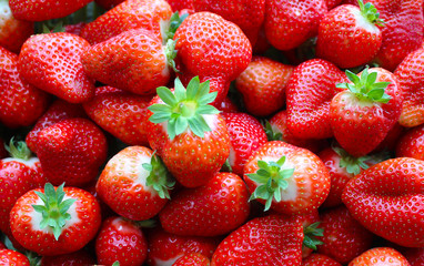  Beautiful cultivated deep red delicious strawberries, macro photography, fruit