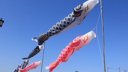 五月の風になびくたくさんの鯉のぼり