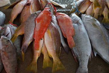 fisch auf dem markt in afrika