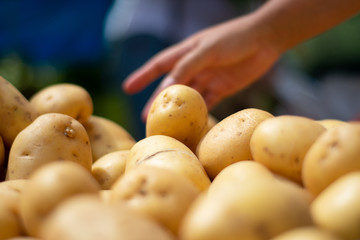 Hand picking potato from market pile