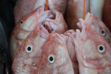 fisch auf dem markt in afrika