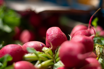 Closeup of red radishes with blurry vignette