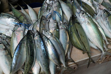 Obraz premium fisch auf dem markt in afrika