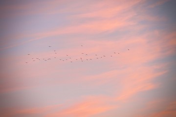 tramonto