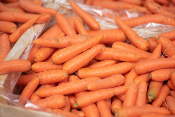 Closeup of fresh carrots in market