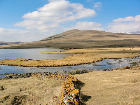 Paravani lake in Javakheti.Georgia,  Samtskhe-Javakheti Landscape - Georgia, Caucasus.- Image