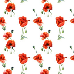 Obraz premium Watercolor seamless pattern of poppies, Botanical illustration.