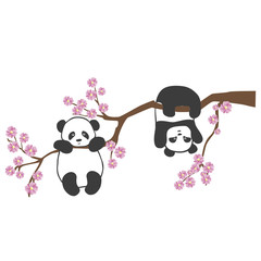 vector illustration of cute little Panda on Sakura tree branch, flat design