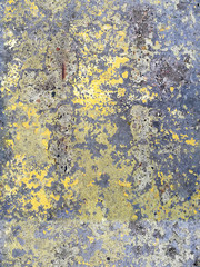 seamless texture of old concrete slab in paint