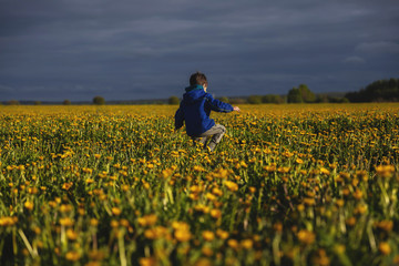 Boy with dandelion on a summer day