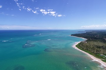 Fototapeta na wymiar Paradisiac beach with crystal water. Brazillian Caribbean. São Miguel dos Milagres, Alagoas, Brazil. 