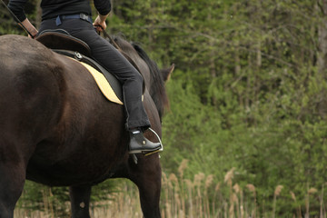 Woman rides a big black horse in the forest. Close up of detailes of a rider and a horse.
