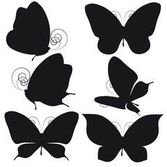 butterfly85