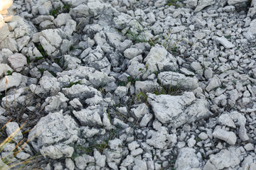 Gray rocky path with grass