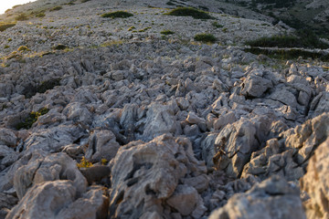 Fototapeta na wymiar Gray rocky path in the evening