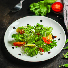 salad vegetable - tomato, lettuce, cheese, microgreen and salad dressing. food background. top