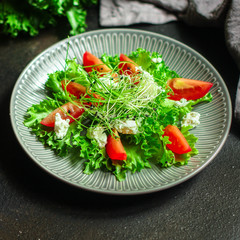 salad vegetable - tomato, lettuce, cheese, microgreen and salad dressing. food background. top