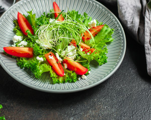 salad vegetable - tomato, lettuce, cheese, microgreen and salad dressing. food background. top