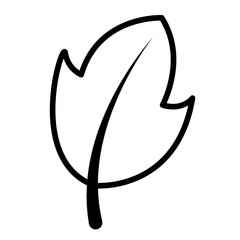 leaf botanical foliage icon linear