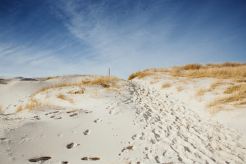 Wooden path with stairs or boardwalk leading through dunes to the top of a hill.