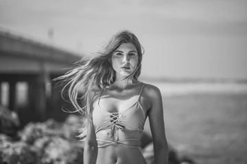 Bikini Model on the Beach