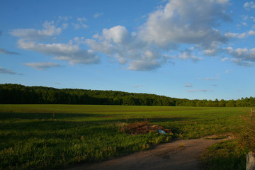 the Mordovian region