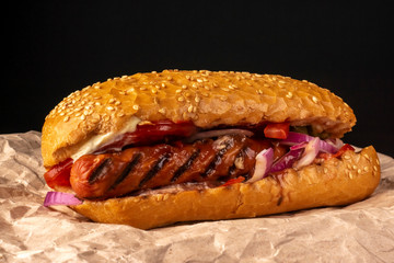 Fast food hot dog with fresh vegetables and grilled sausage