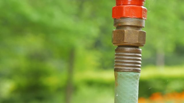 Close up of garden hose connected to red faucet