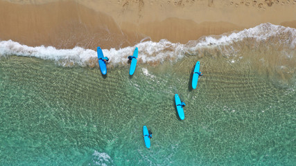 Aerial drone top view photo of young team of surfers enjoying tropical wavy turquoise sea sandy beach in exotic caribbean island