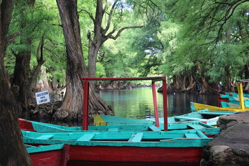 Obraz premium Lago Camécuaro