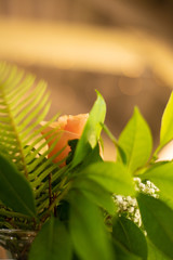 Obraz premium Closeup of flowers