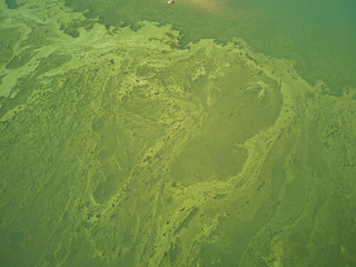 Aerial view of the Valdecañas reservoir, with green water from the algae and natural lines of the...