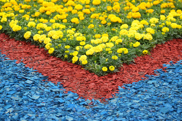 yellow decorative flowers on a decorated flower bed.