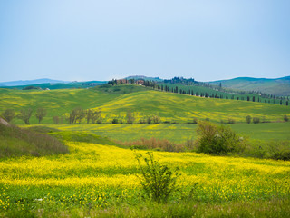 Landscape in spring.