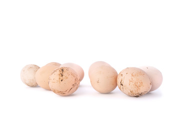 Group of dirty chicken eggs on white background, with shadows, domestic poultry and healthy food. Move object for increasing space
