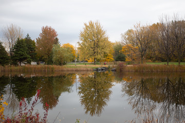 Reflections of trees during fall