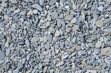 Sea pebble / sea stones background