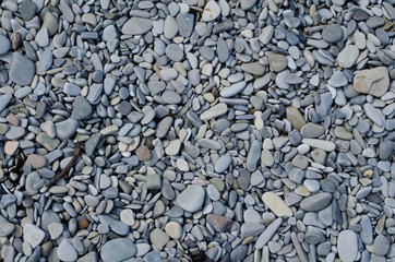Sea pebble / sea stones background