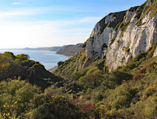 Fototapeta premium Hooken undercliff between Branscombe and Beer in Devon, England.