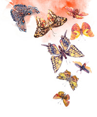 Naklejki  Akwarela brązowe i żółte motyle vintage kartkę z życzeniami