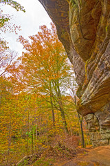 Fall Colors from Under a Sandstone Cliff