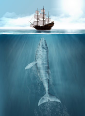 Obraz Wieloryb