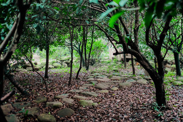 Fototapeta premium Old Chinese stone pathway in park