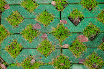 Green grass and concrete tiles