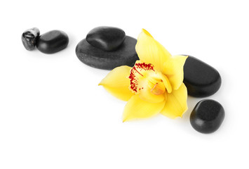 Spa stones and beautiful orchid on white background