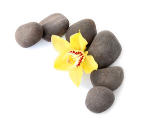 Spa stones and beautiful orchid on white background, top view