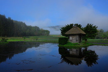 Fototapeta premium 春の荒神神社
