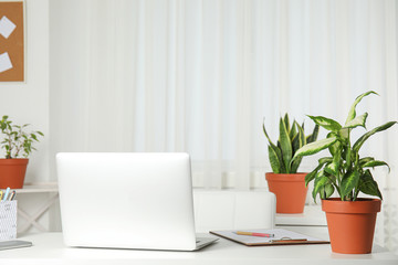 Laptop on table and houseplants in office interior, space for text
